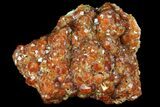 Spessartine Garnet Cluster on Feldspar - China #95183-1